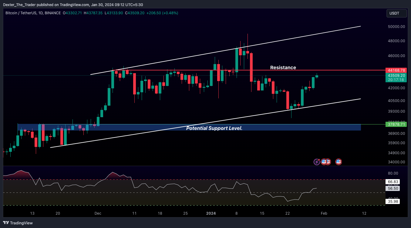 BINANCE:BTCUSDT Chart Image by Dexter_The_Trader