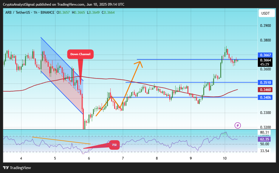 BINANCE:ARBUSDT Chart Image by CryptoAnalystSignal