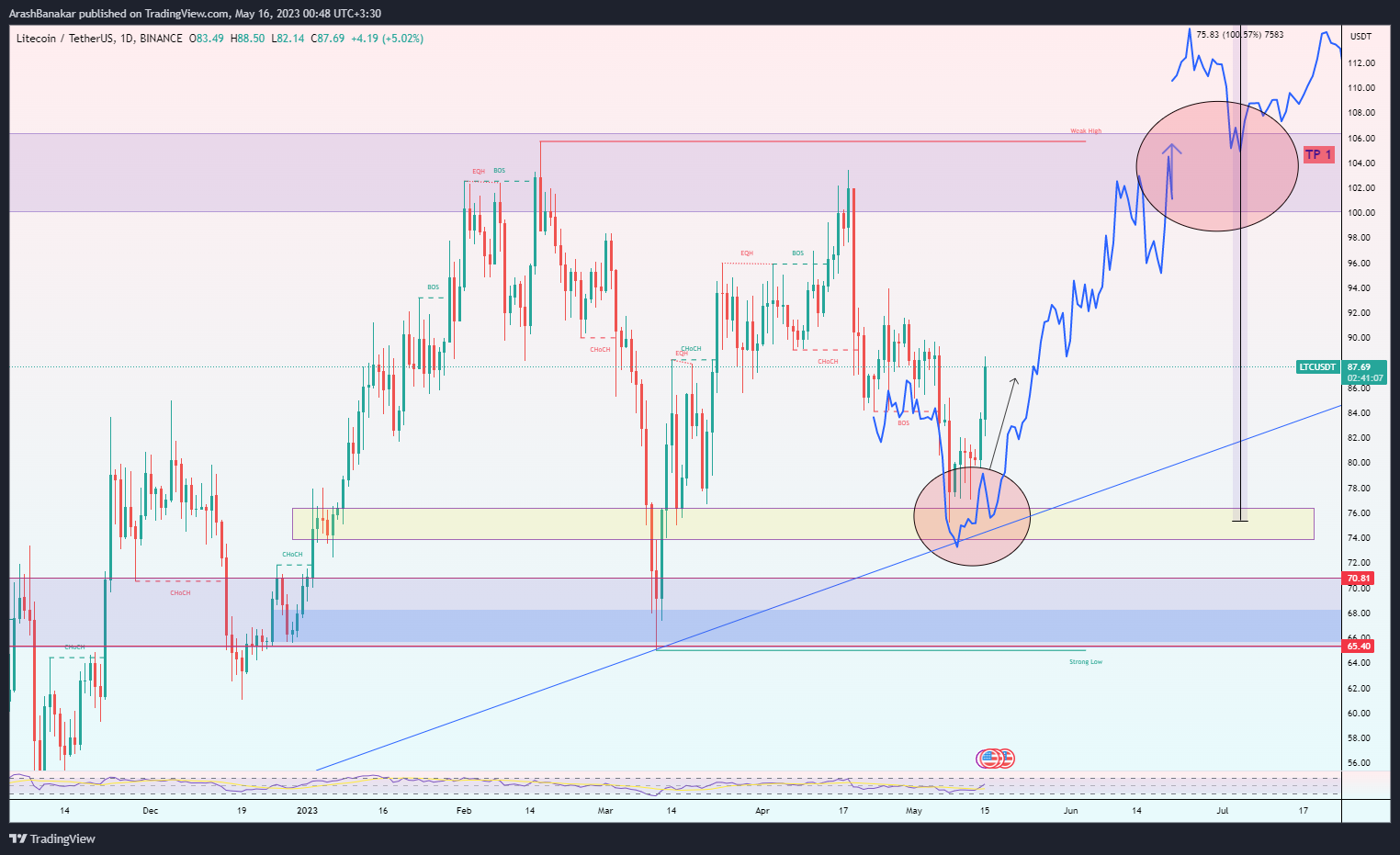 BINANCE:LTCUSDT Chart Image by ArashBanakar