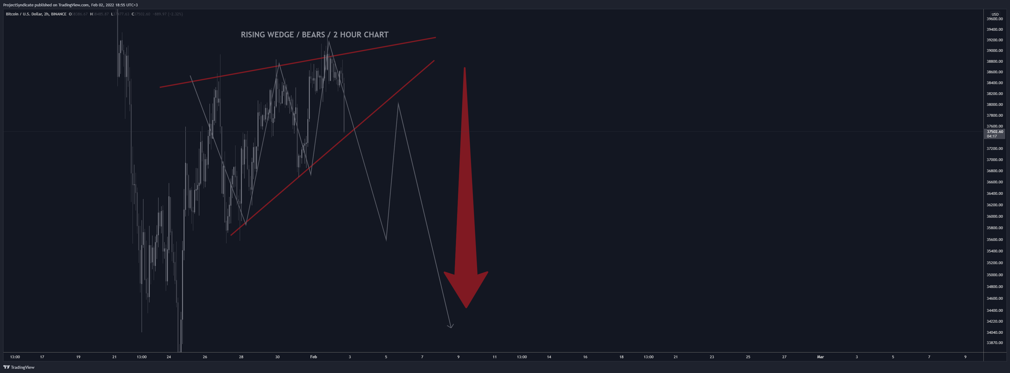 BINANCE:BTCUSD Chart Image by ProjectSyndicate