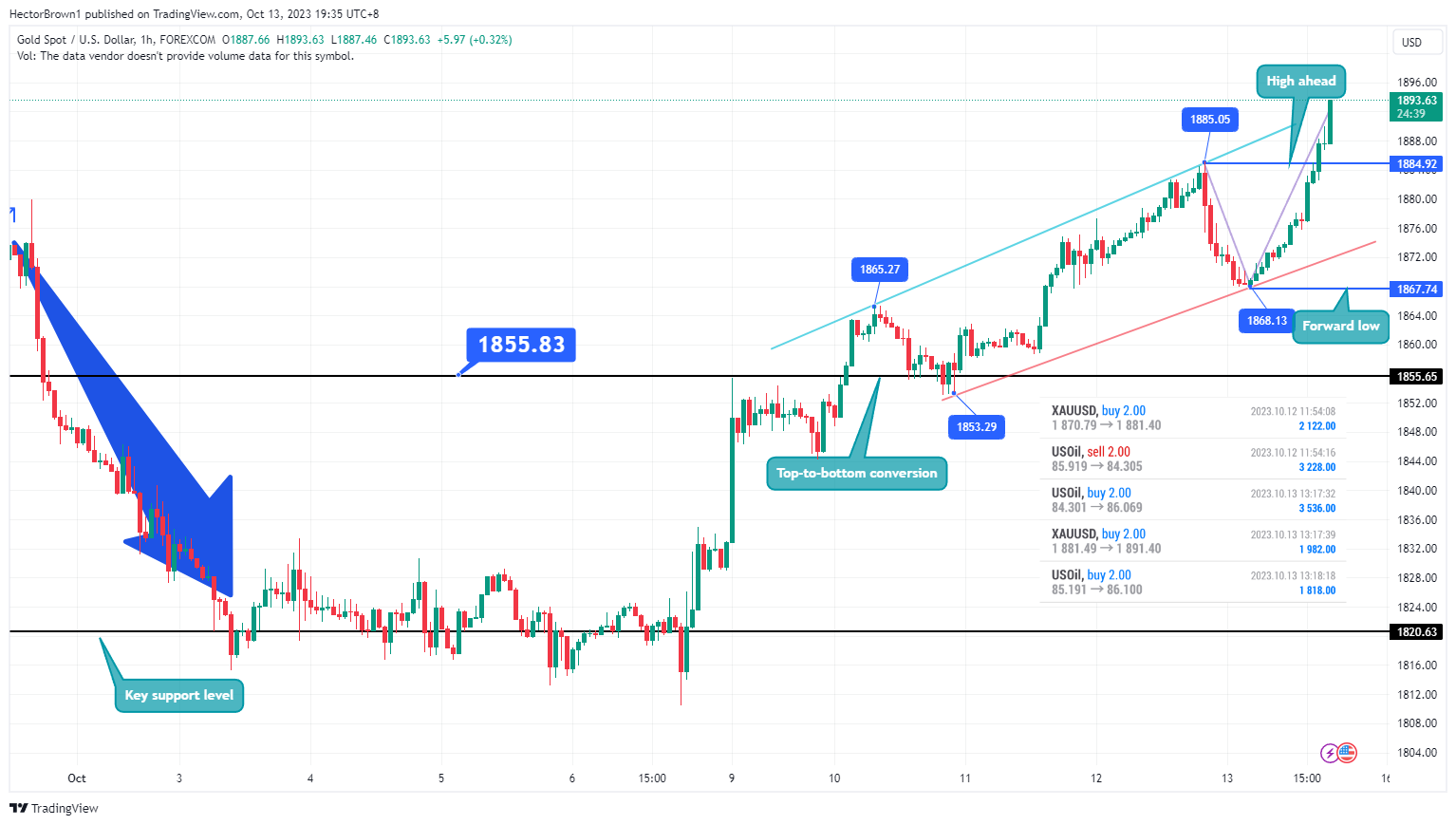 FOREXCOM:XAUUSD Chart Image by HectorBrown1