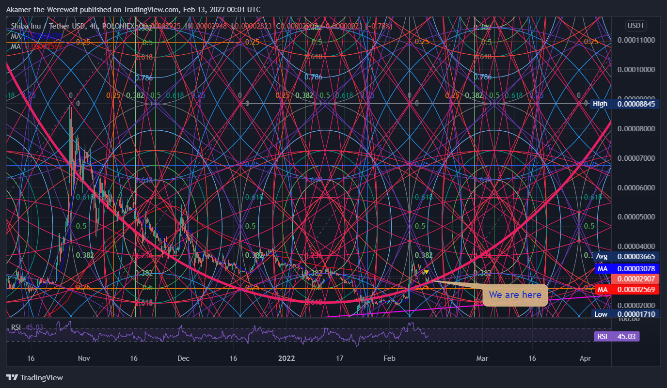 POLONIEX:SHIBUSDT Chart Image by Akamer-the-Werewolf
