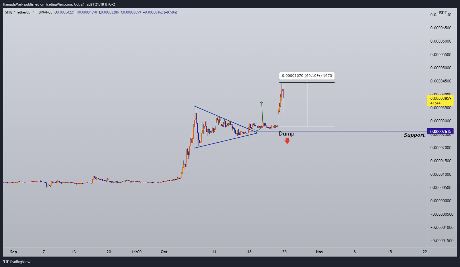 BINANCE:SHIBUSDT Chart Image by HamadaMark