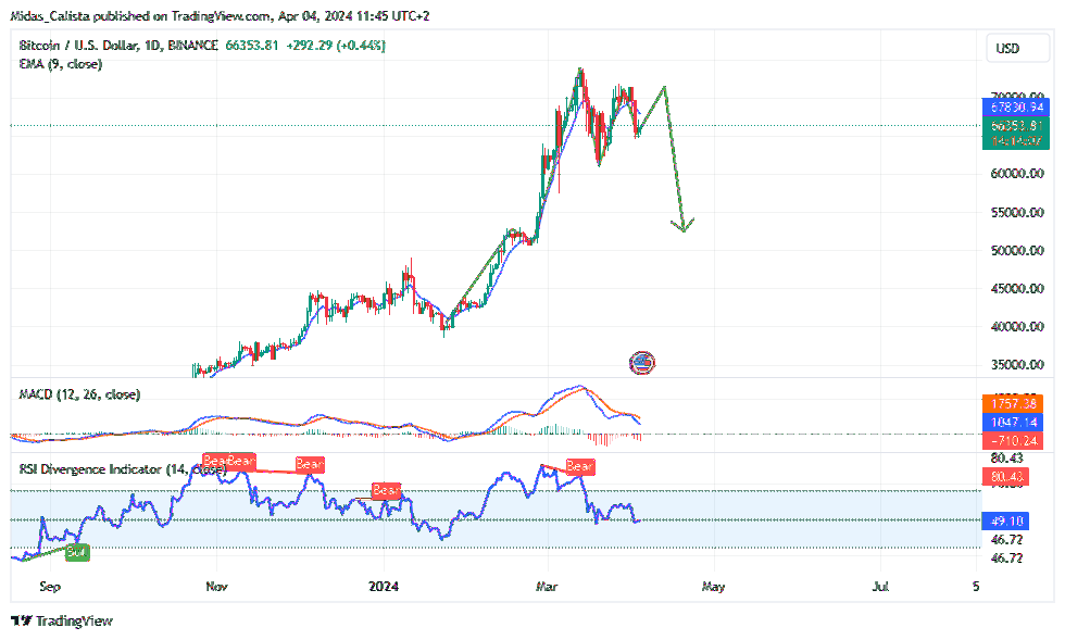 BINANCE:BTCUSD Chart Image by Midas_Calista