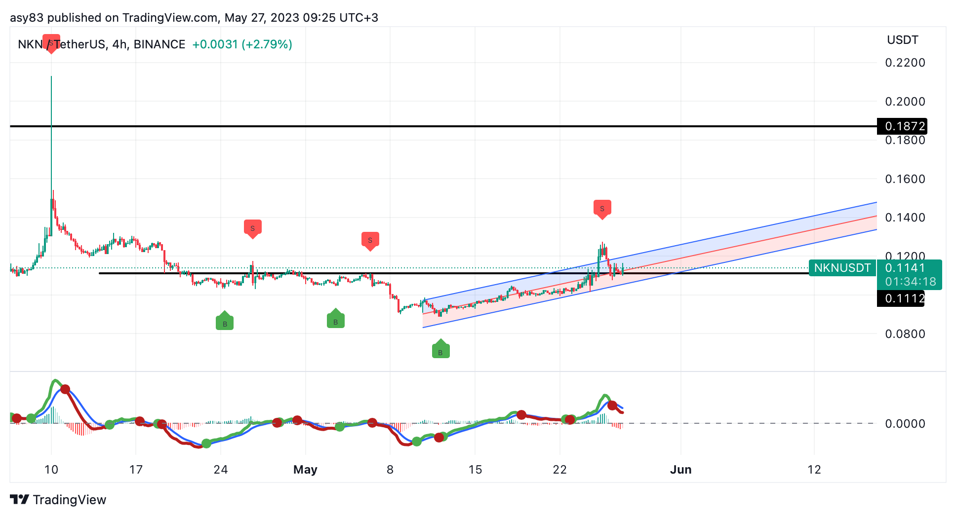 BINANCE:NKNUSDT Chart Image by TraderASY