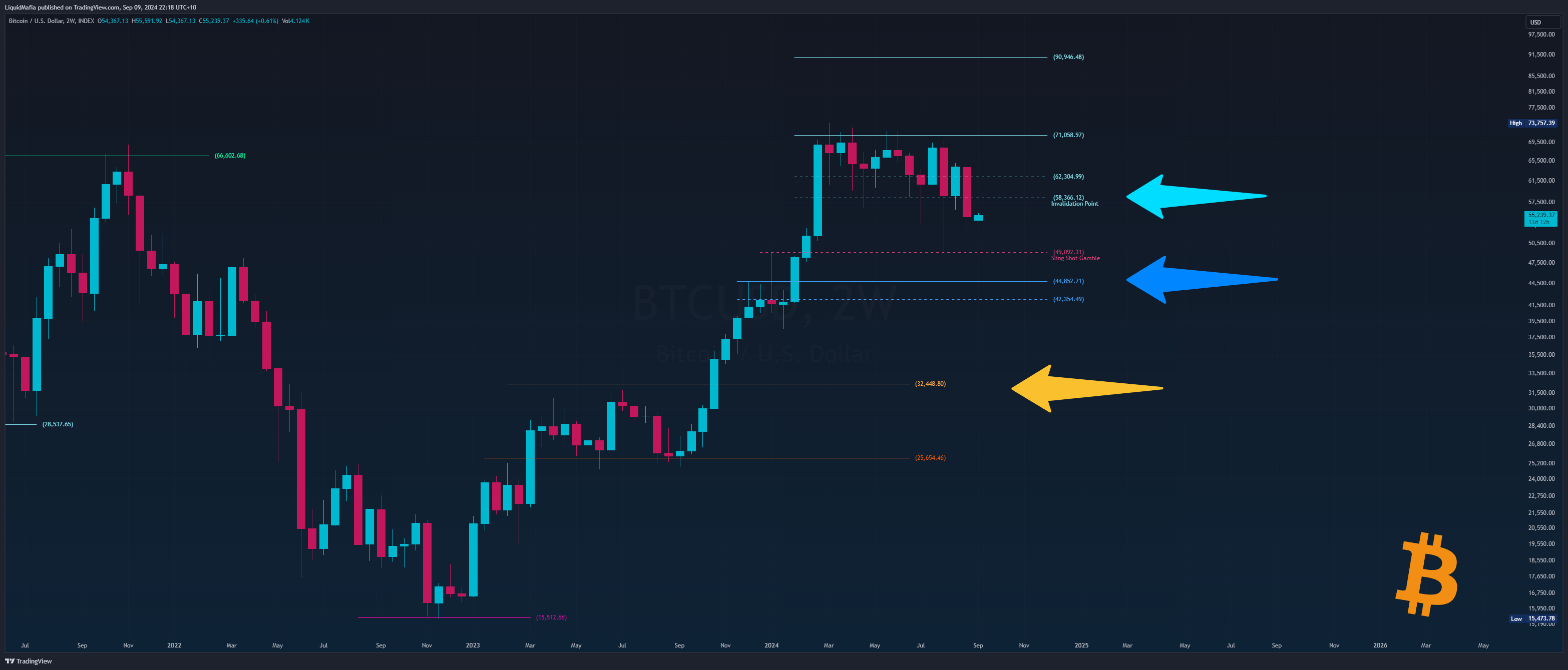 INDEX:BTCUSD Chart Image by LiquidMafia