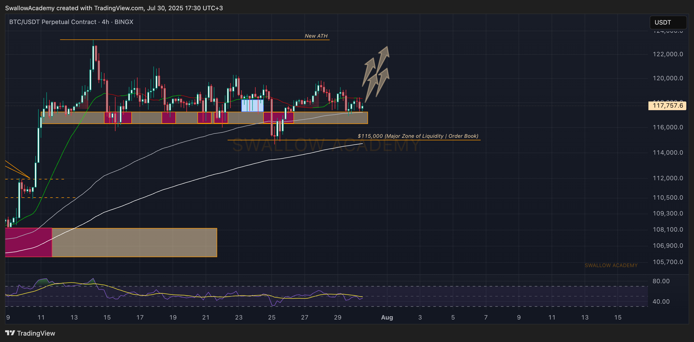 BINGX:BTCUSDT.P Chart Image by SwallowAcademy