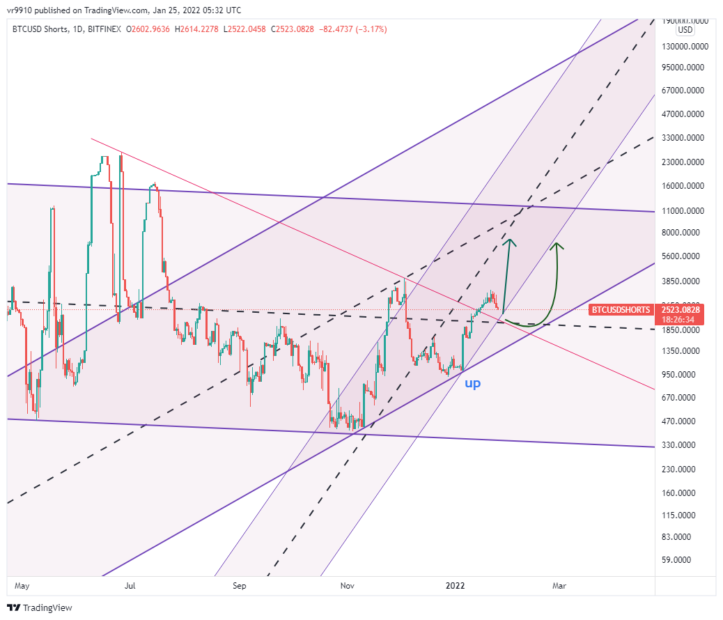 BITFINEX:BTCUSDSHORTS Chart Image by vr9910