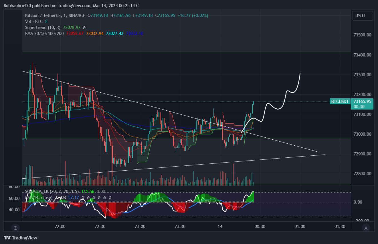 BINANCE:BTCUSDT Chart Image by Robbanbro420