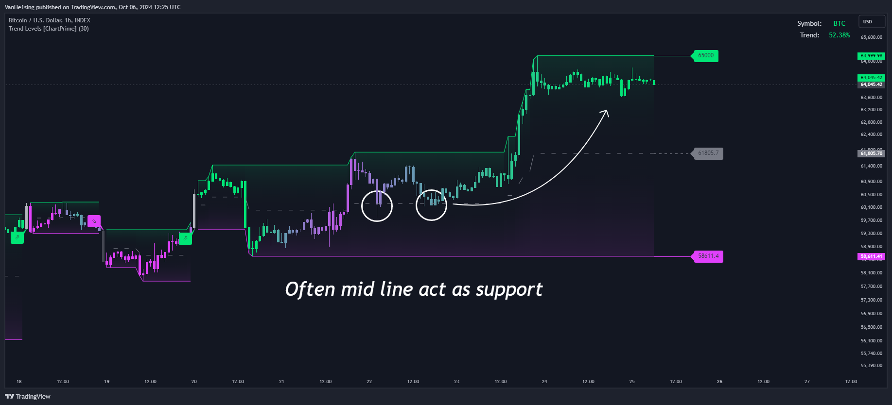 INDEX:BTCUSD Chart Image by VanHe1sing