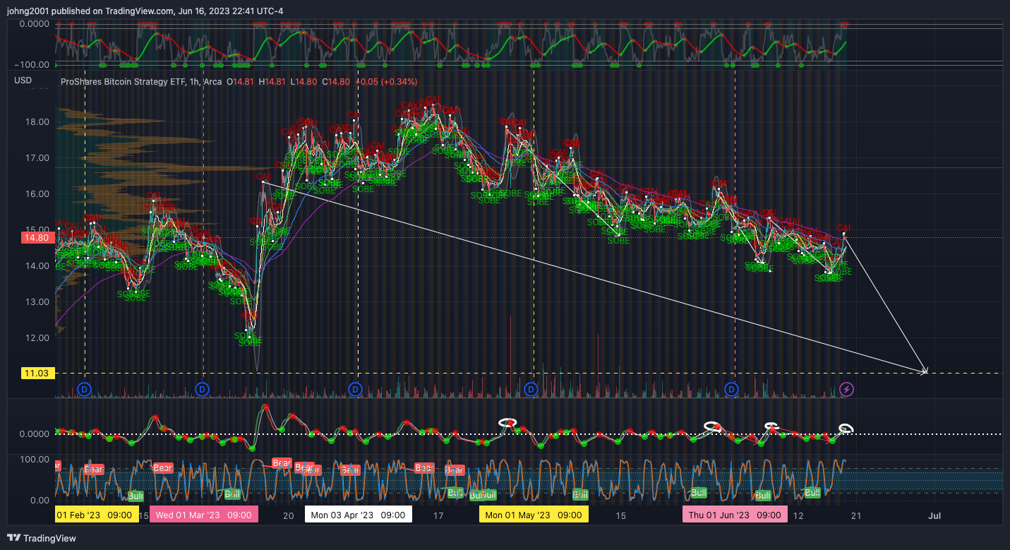 AMEX:BITO Chart Image by johng2001