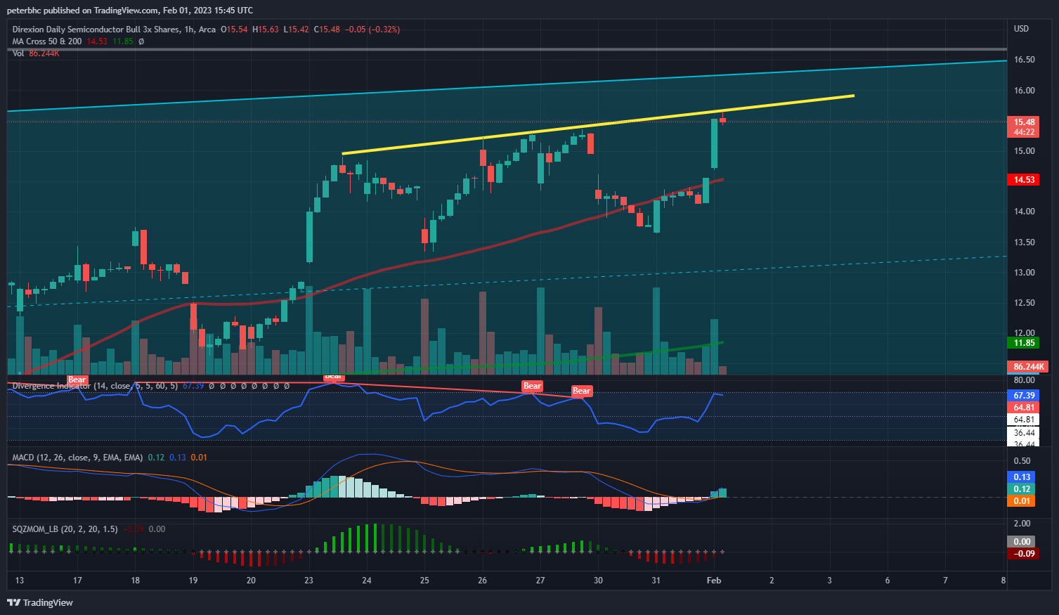 AMEX:SOXL Chart Image by peterbhc