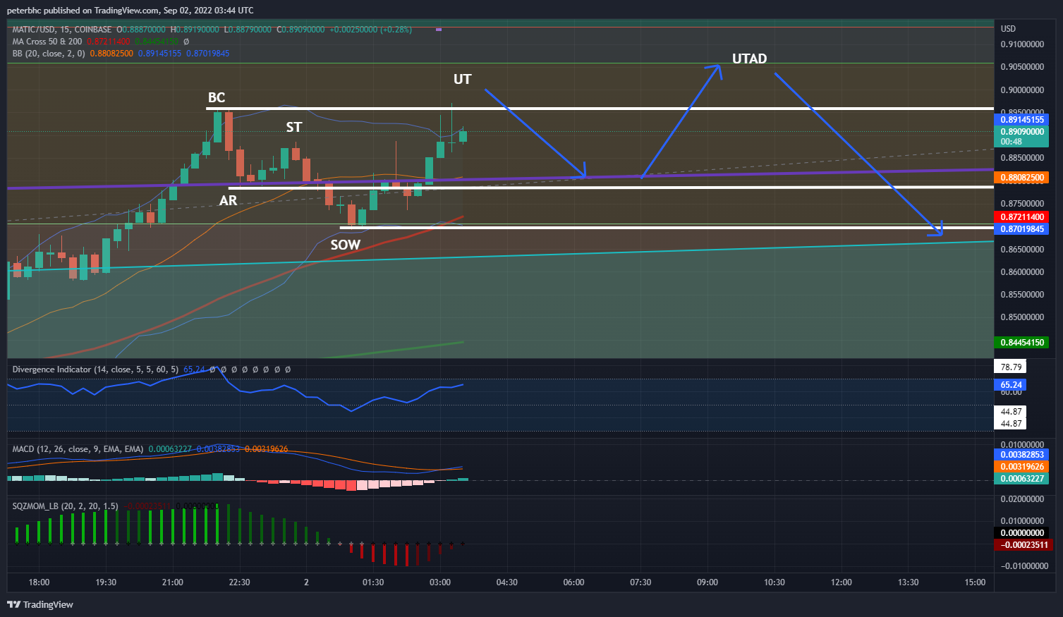 COINBASE:MATICUSD Chart Image by peterbhc