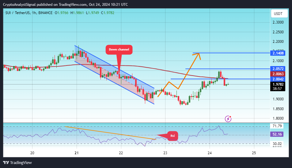 BINANCE:SUIUSDT Chart Image by CryptoAnalystSignal