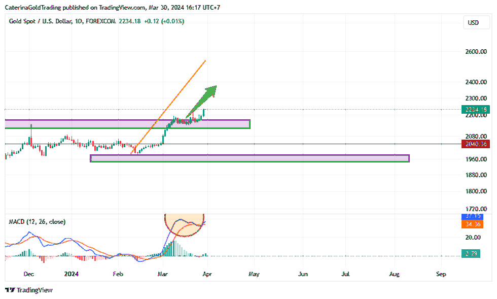 FOREXCOM:XAUUSD Chart Image by CaterinaGoldTrading