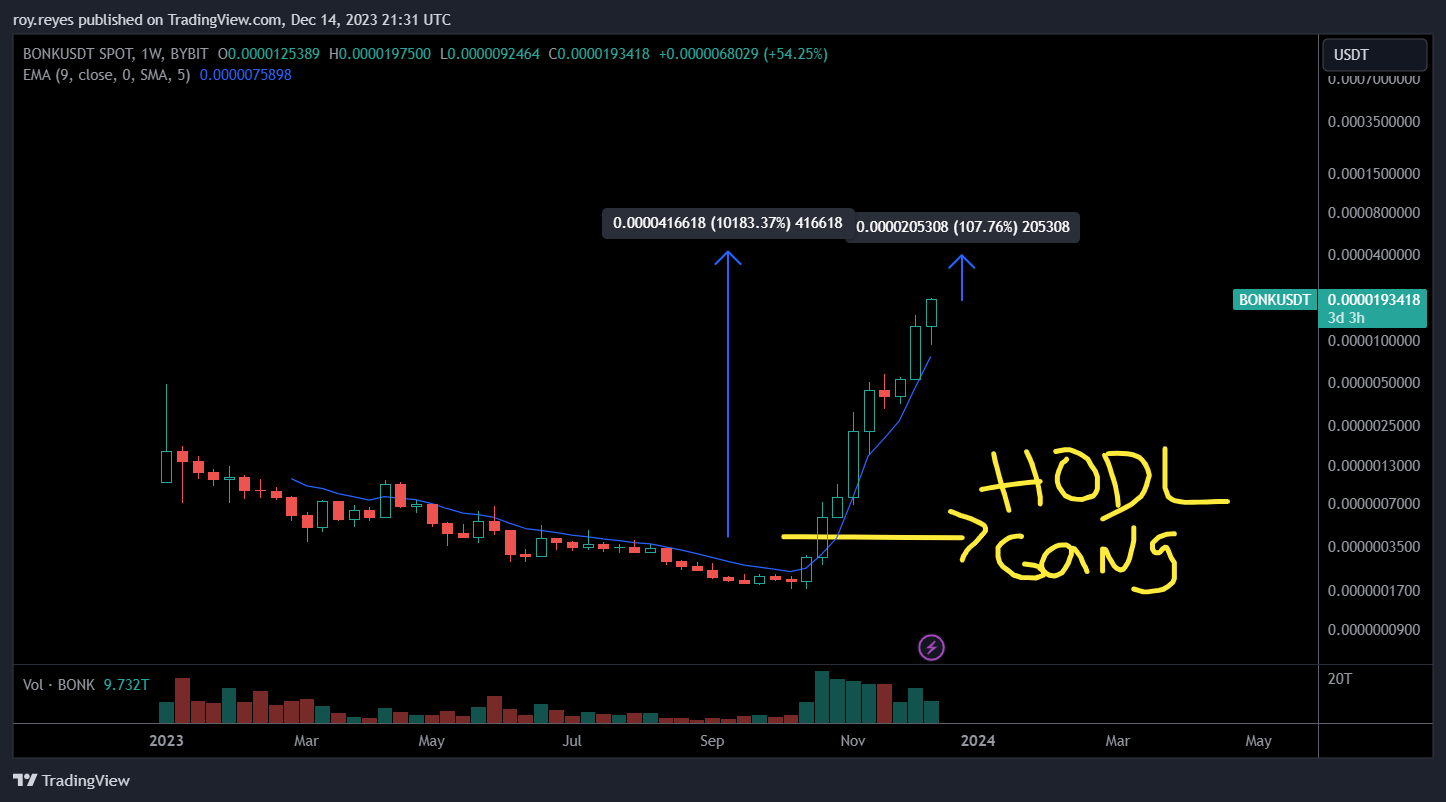 BYBIT:BONKUSDT Chart Image by roy.reyes