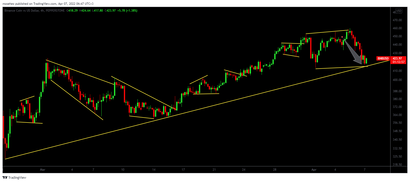 PEPPERSTONE:BNBUSD Chart Image by thesharkke