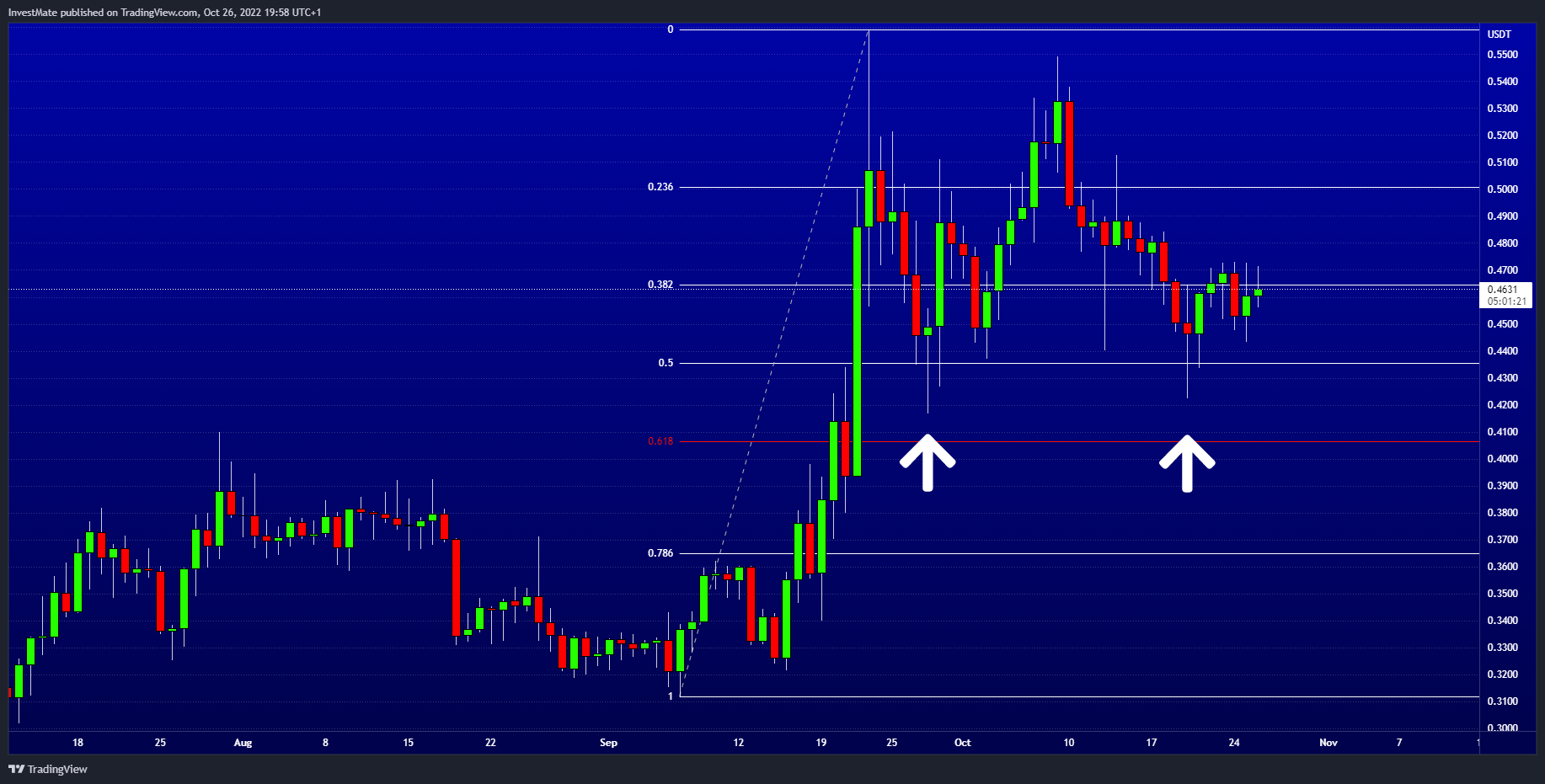 BINANCE:XRPUSDT Chart Image by InvestMate