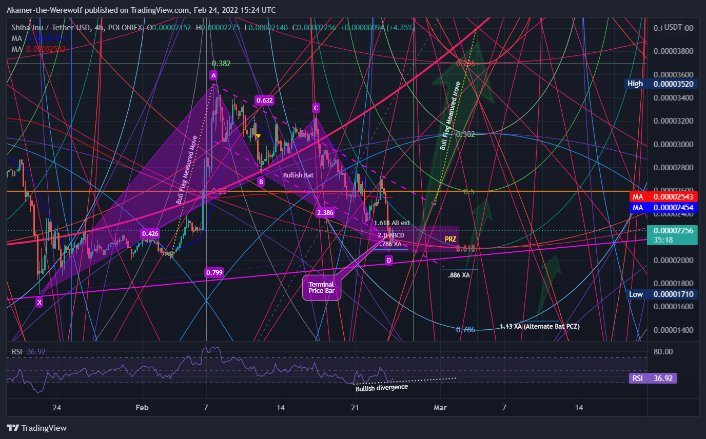 POLONIEX:SHIBUSDT Chart Image by Akamer-the-Werewolf