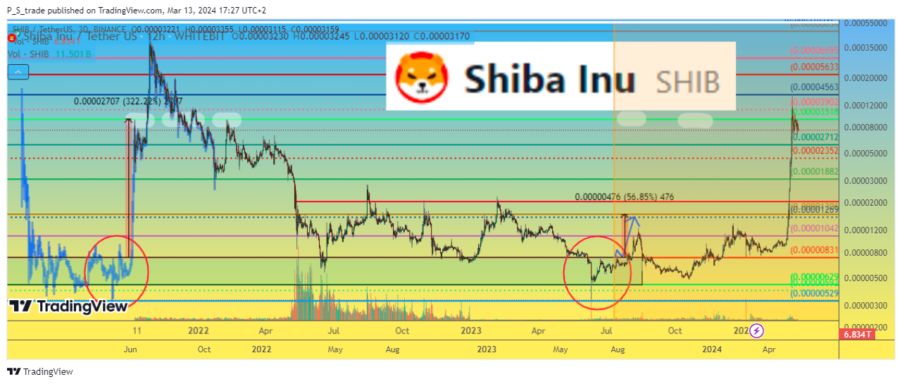 BINANCE:SHIBUSDT Chart Image by P_S_trade