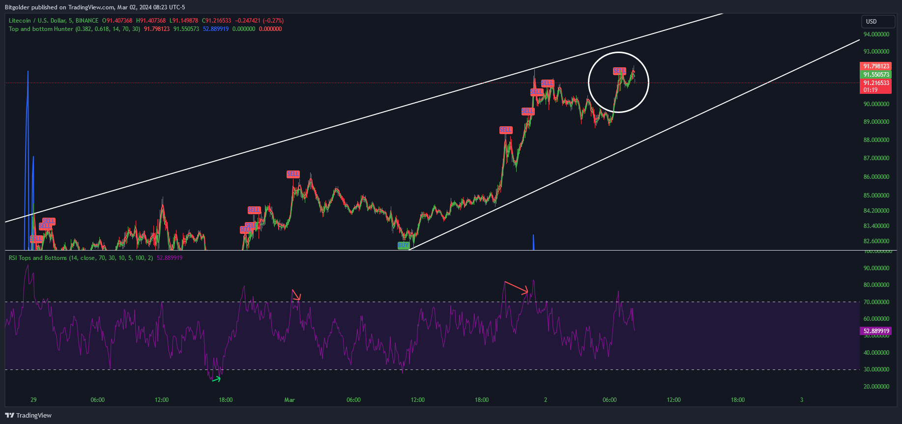BINANCE:LTCUSD Chart Image by Bitgolder
