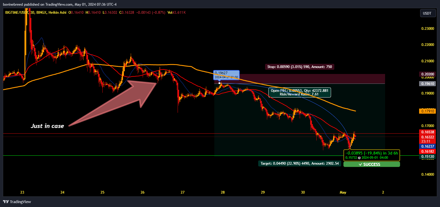 BINGX:BIGTIMEUSDT.PS Chart Image by bovinebreed