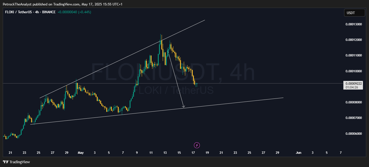 BINANCE:FLOKIUSDT Chart Image by PetrockTheAnalyst