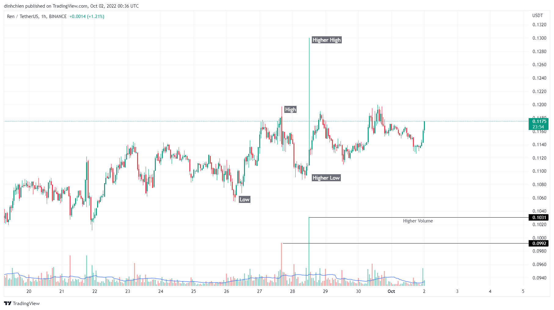 BINANCE:RENUSDT Chart Image by dinhchien