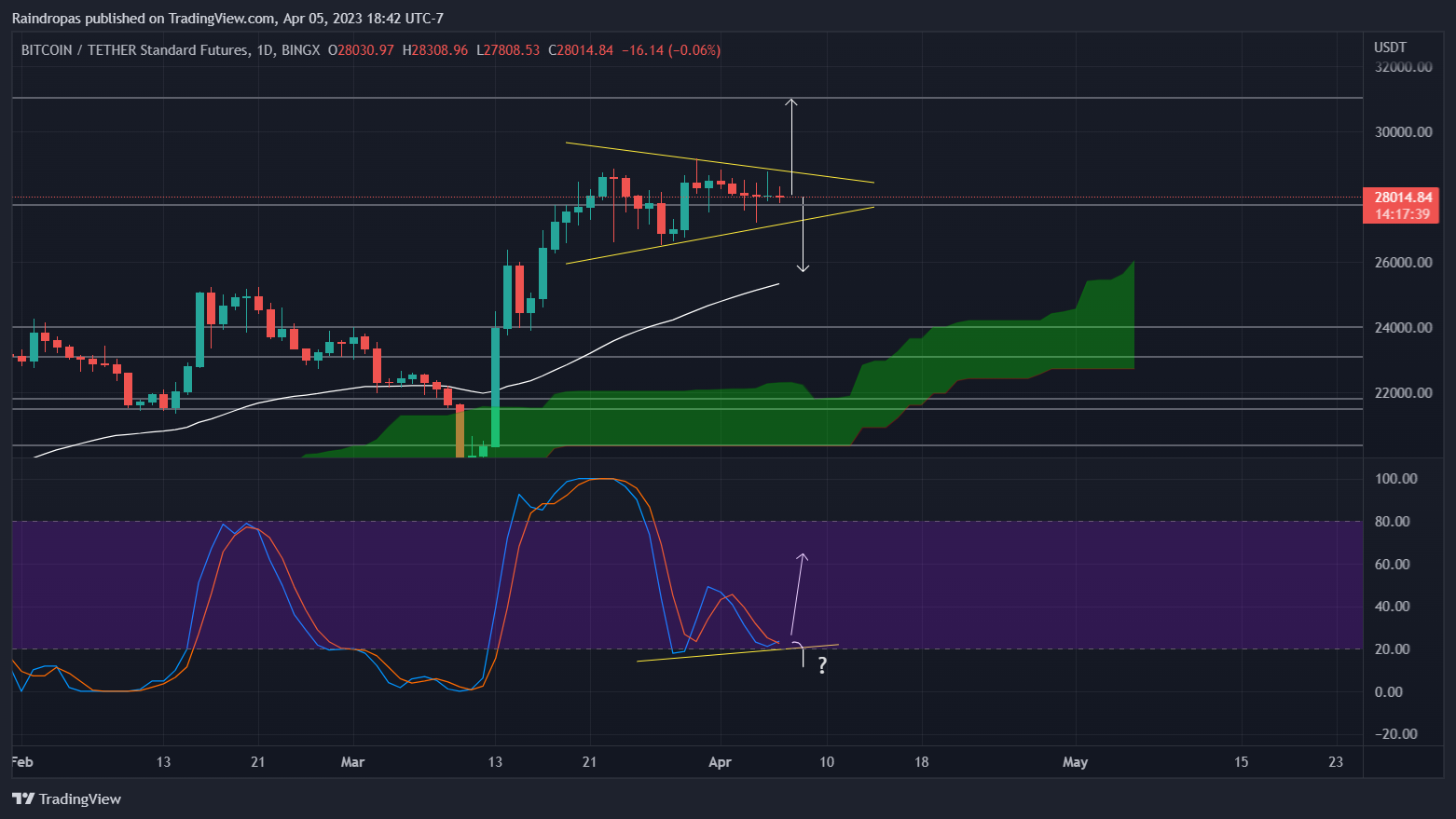 BINGX:BTCUSDT.PS Chart Image by Raindropas