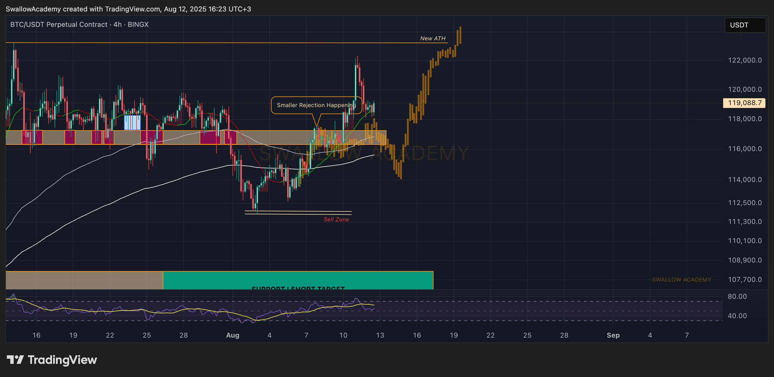 BINGX:BTCUSDT.P Chart Image by SwallowAcademy