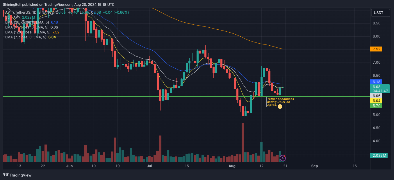 BINANCE:APTUSDT Chart Image by ShiningBull