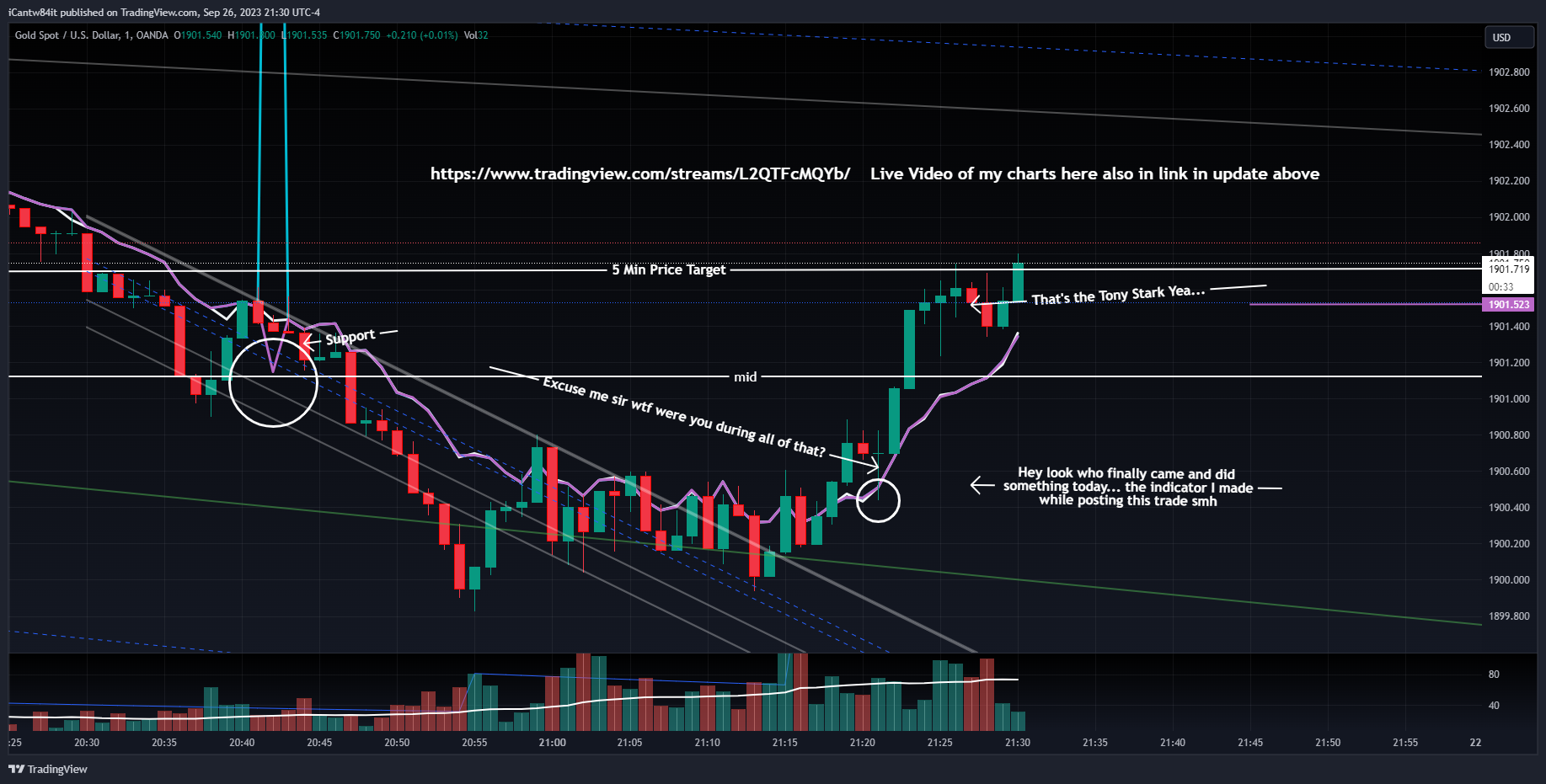 OANDA:XAUUSD Chart Image by iCantw84it