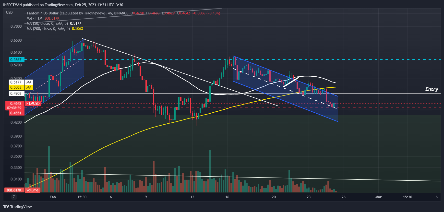 BINANCE:FTMUSD Chart Image by INSECTMAN