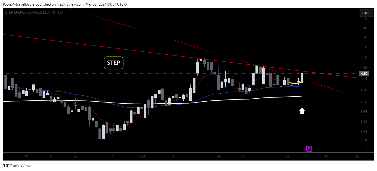 TSX_DLY:STEP Chart Image by PopiaMytravelbirdie