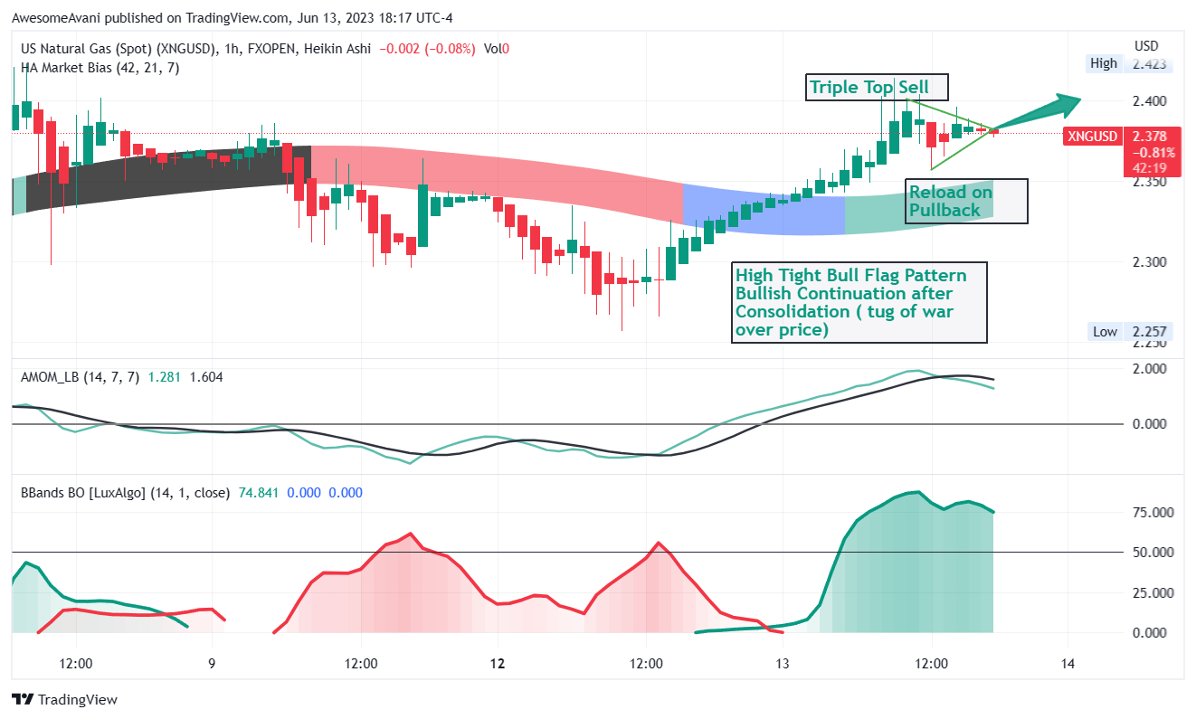 FXOPEN:XNGUSD Chart Image by AwesomeAvani