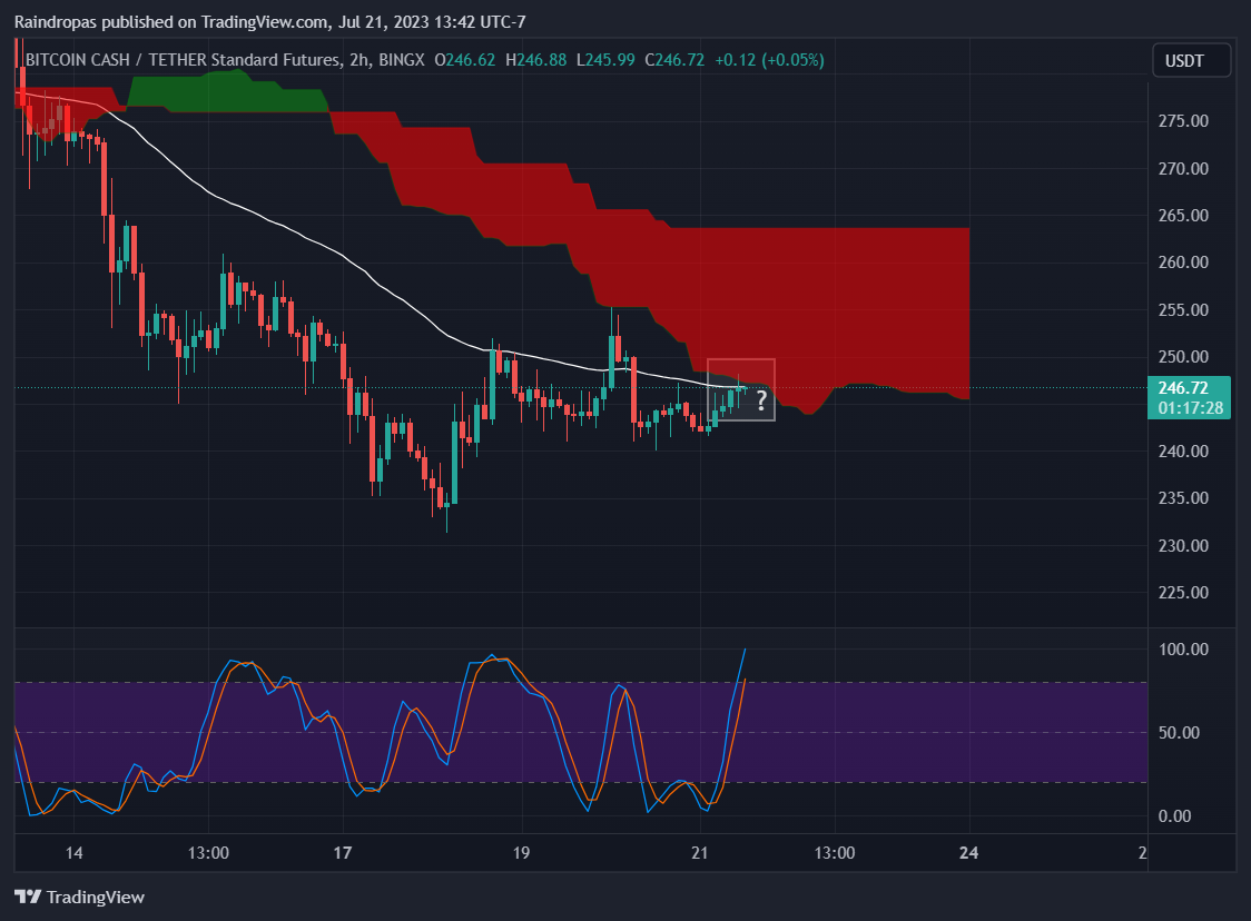 BINGX:BCHUSDT.PS Chart Image by Raindropas