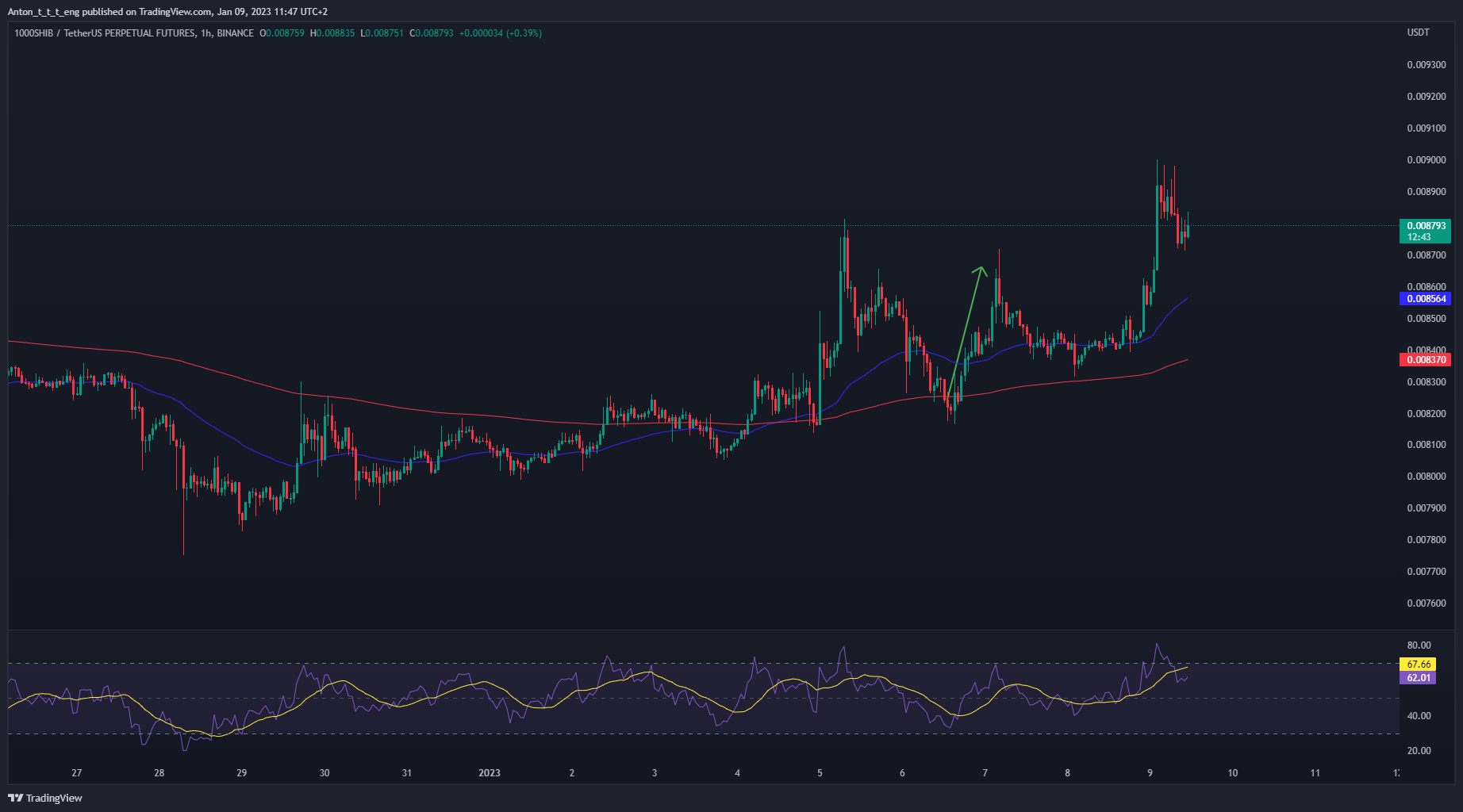 BINANCE:1000SHIBUSDTPERP Chart Image by Anton_t_t_t_eng