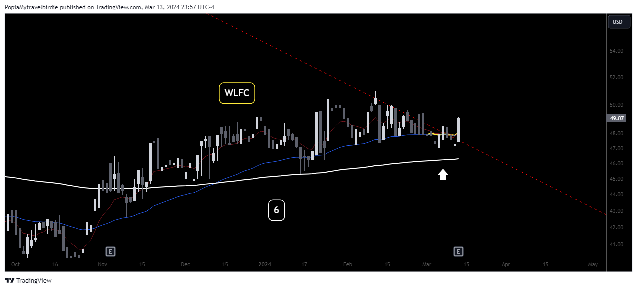 BATS:WLFC Chart Image by PopiaMytravelbirdie