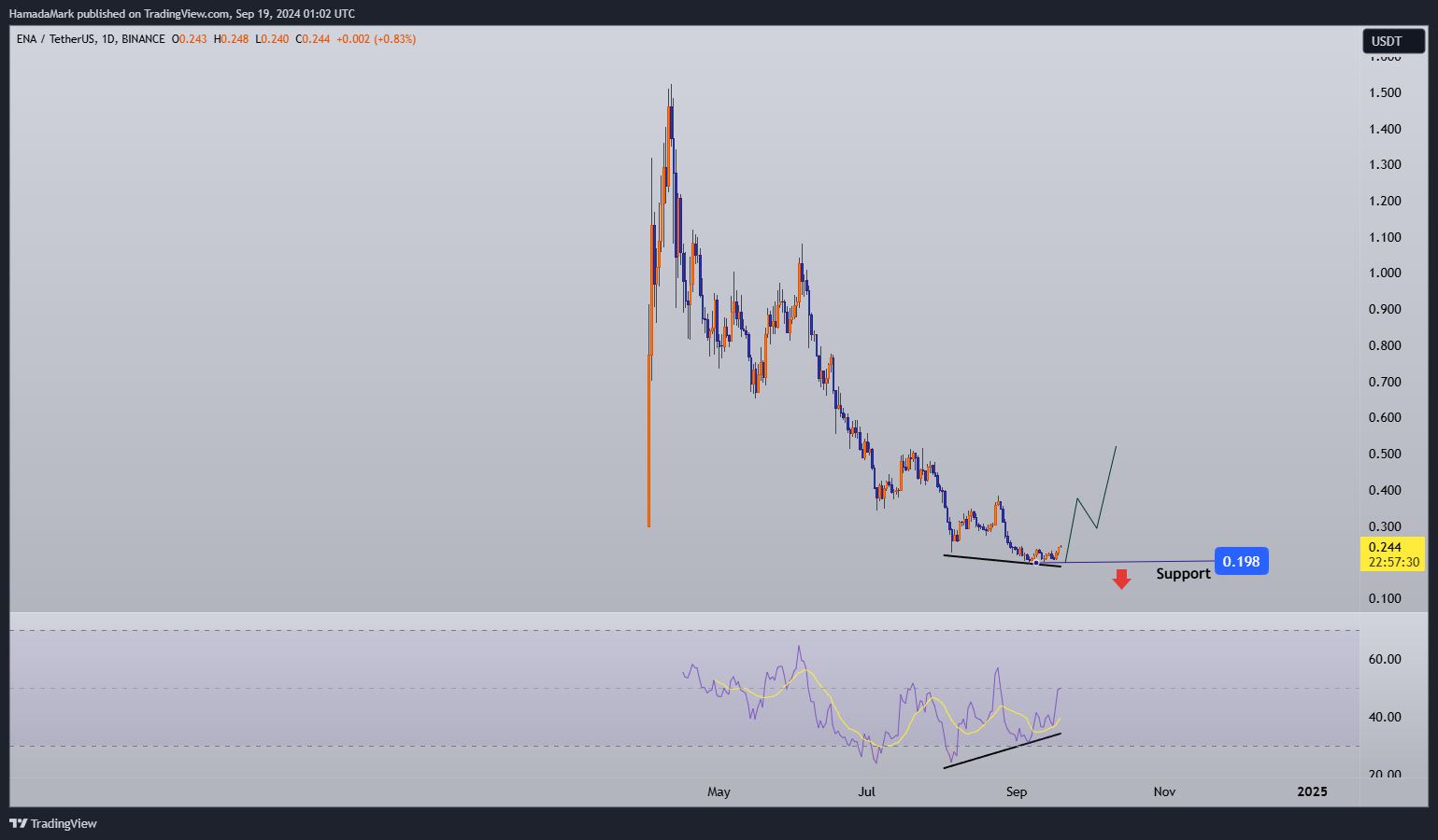 BINANCE:ENAUSDT Chart Image by HamadaMark