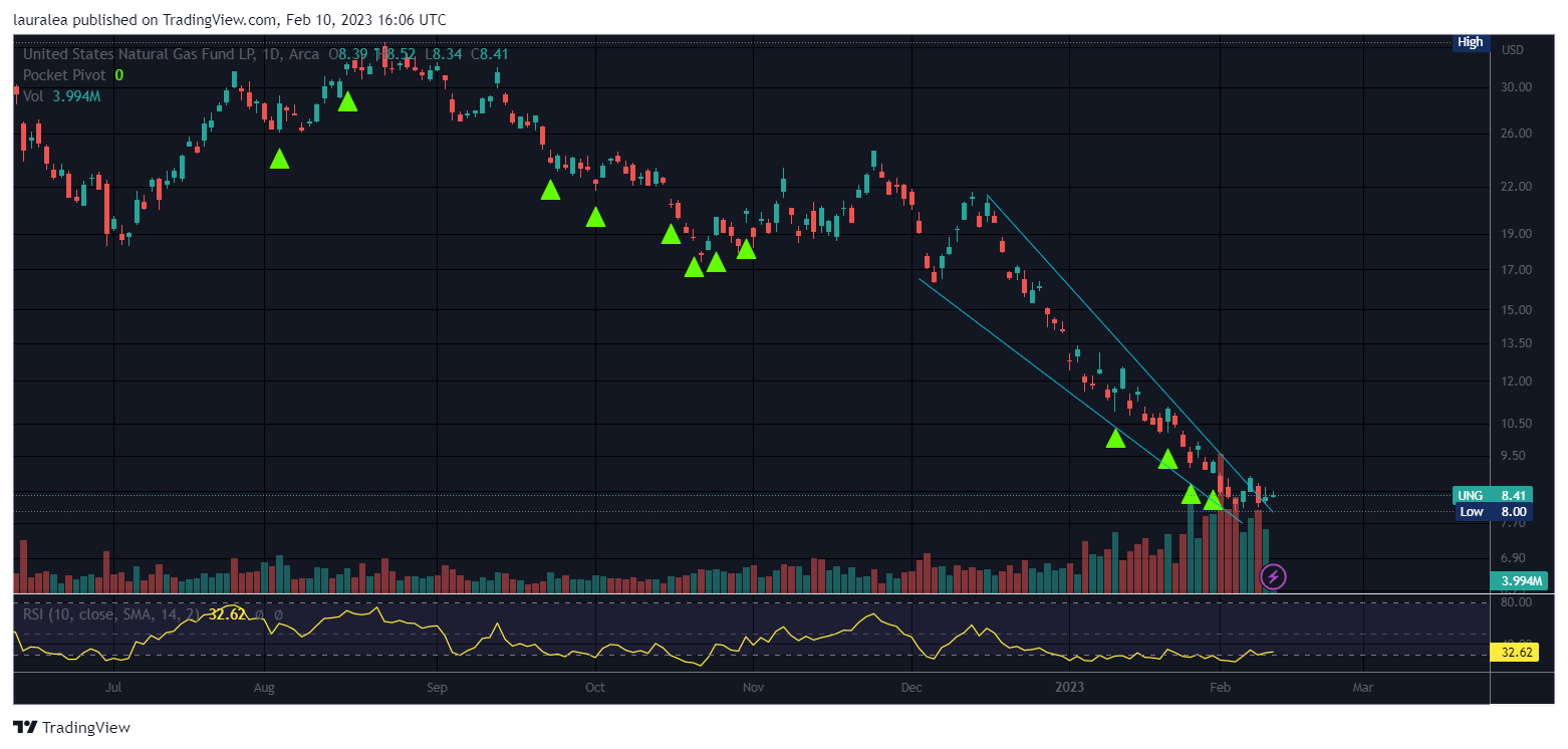 AMEX:UNG Chart Image by lauralea