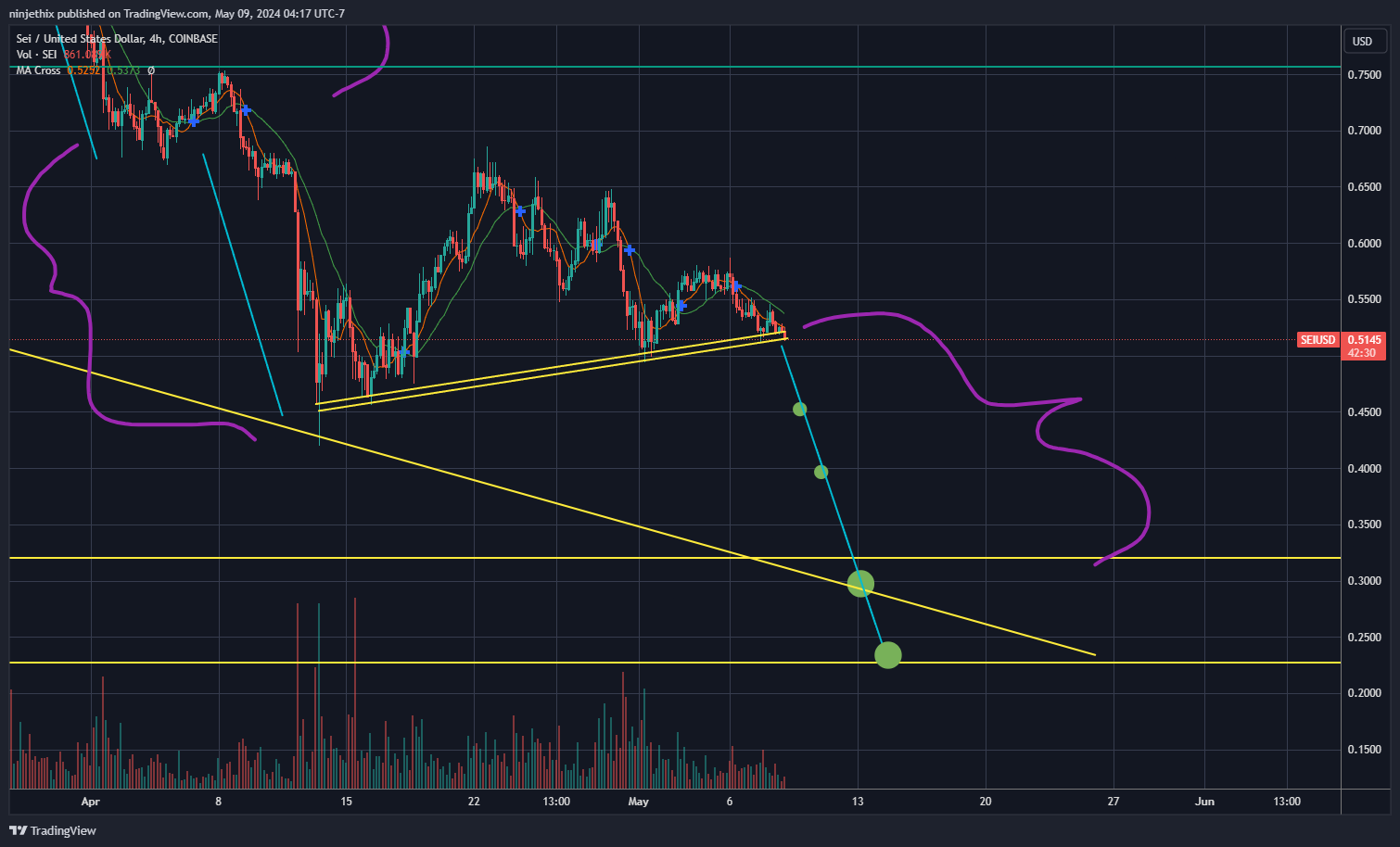 COINBASE:SEIUSD Chart Image by ninjethix