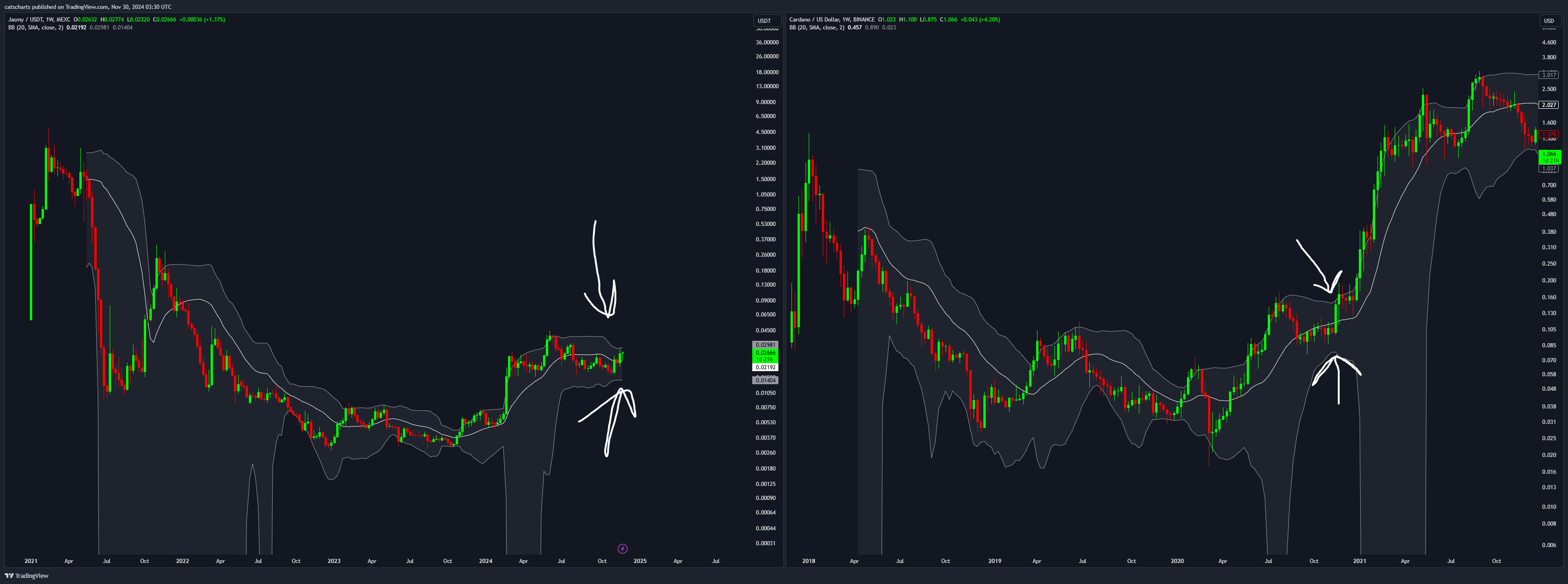 BINANCE:ADAUSD Chart Image by catscharts