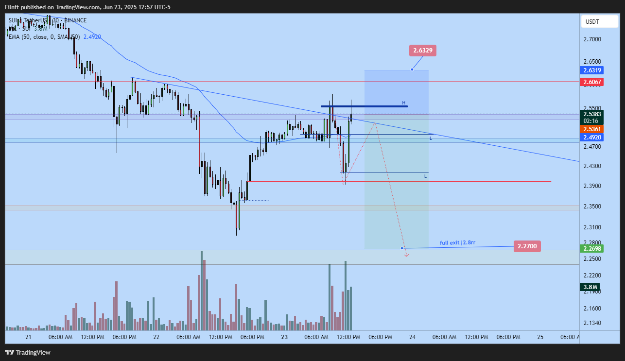BINANCE:SUIUSDT Chart Image by Filnft
