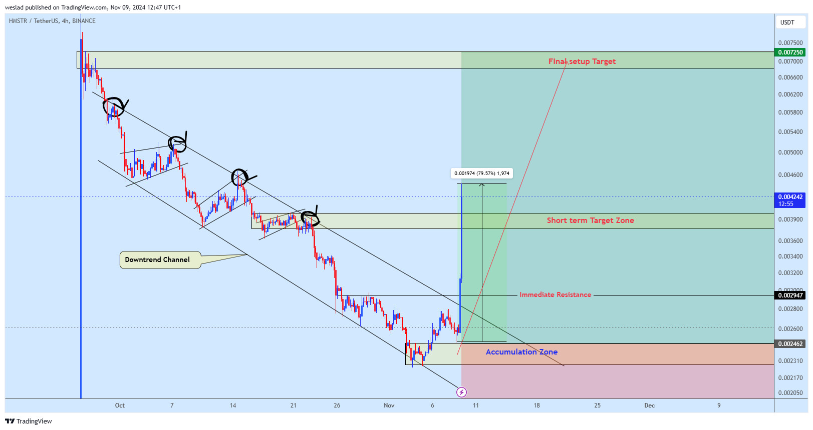 BINANCE:HMSTRUSDT Chart Image by weslad