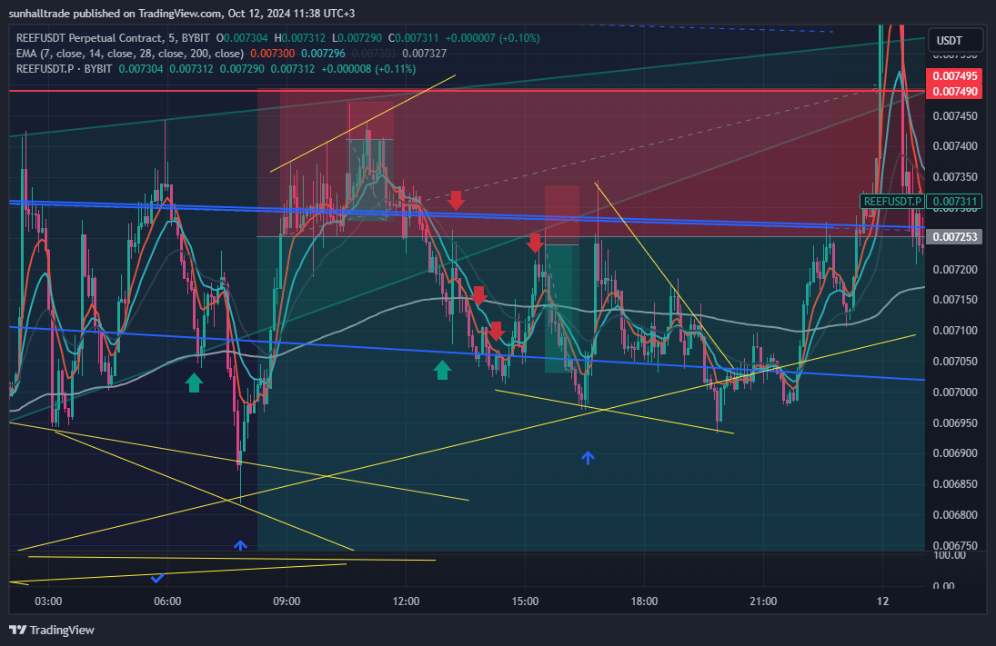 BYBIT:REEFUSDT.P Chart Image by sunhalltrade