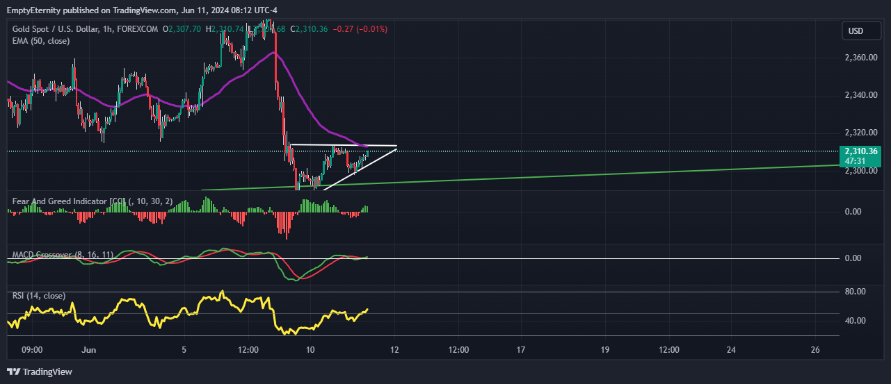 FOREXCOM:XAUUSD Chart Image by EmptyEternity