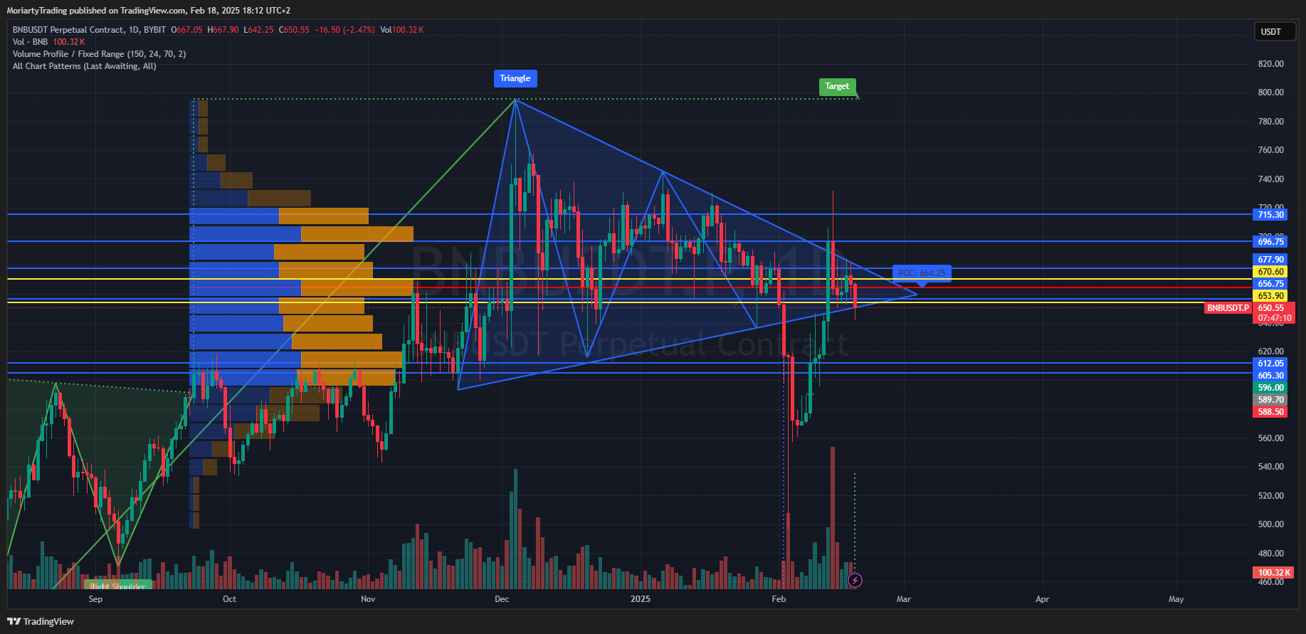 BYBIT:BNBUSDT.P Chart Image by MoriartyTrading