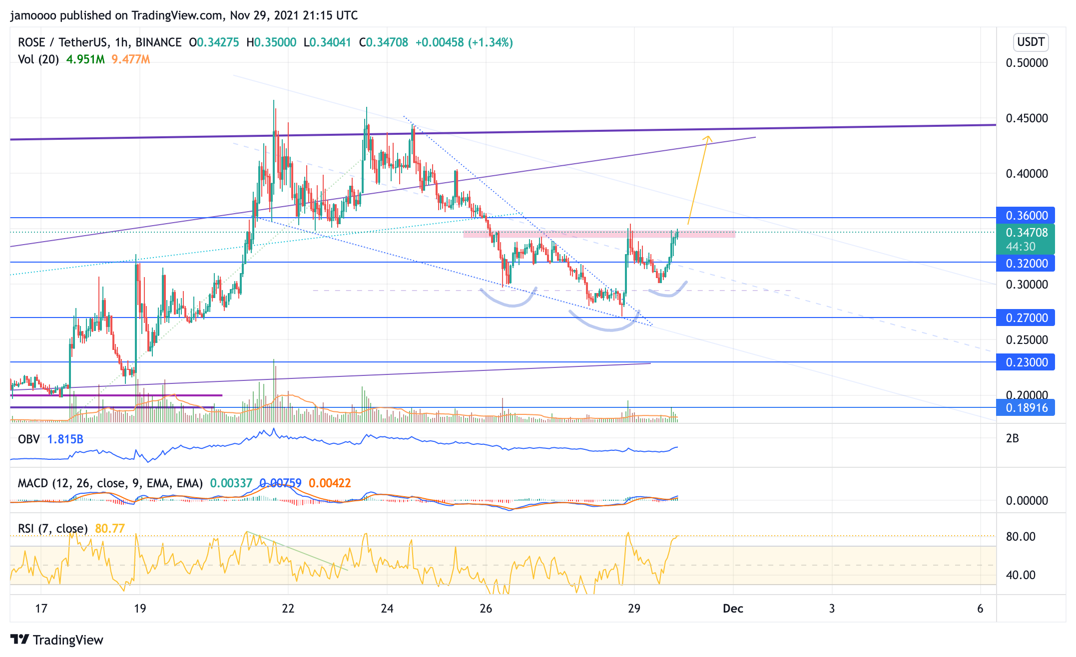 BINANCE:ROSEUSDT Chart Image by jamoooo
