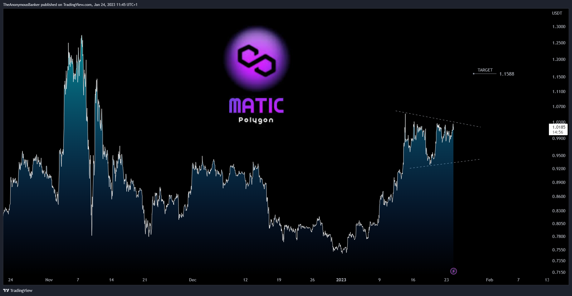 BINANCE:MATICUSDT Chart Image by TheAnonymousBanker