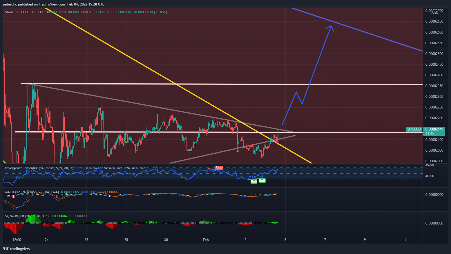 FTX:SHIBUSD Chart Image by peterbhc